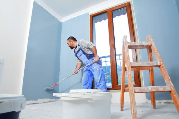 Best Drywall Removal and Disposal  in Mount Vernon, VA